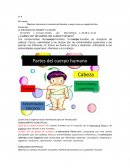 LA CREACION DEL HOMBRE Y LA MUJER