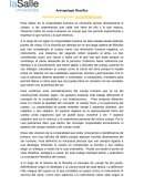 Tema de investigación: LA CORPORALIDAD