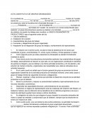 Acta constitutiva de grupos organizados