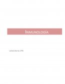 Cuaderno Inmunología