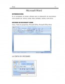 ENTORNO DE MICROSOFT WORD