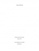 Introducción a la Gerencia de Proyectos