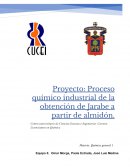 Proceso químico para obtener jarabe de alta fructuosa a partir del almidón de maíz