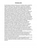 Los alimentos transgénicos . Monsanto