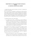 VISCISITUDES EN LA APLICACIÓN DE CÓDIGO NACIONAL DE POLICÍA