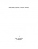 SISTEMA DE SEMAFORIZACION AUTONOMO E INTELIGENTE