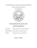 Fenomenología de la enfermería