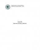 Informe Nº6 Reacciones De Oxido – Reducción