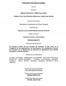 Reciclando y Diseñando con Fibras Tetrapak