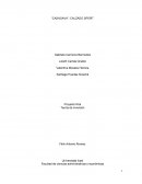 Proyecto Casagava: Análisis de factibilidad para la distribución de calzado deportivo en Cali