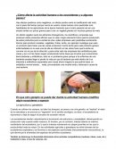 ¿Cómo afecta la actividad humana a los ecosistemas y a algunos países?