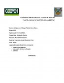 Cadena de no suministro