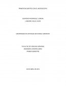 Primer encuentro con el microsocopio