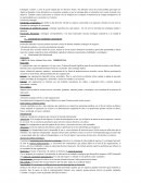 Estrategias. Niveles de estrategias