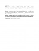 Las células plasmáticas clónales