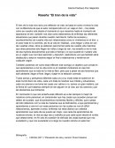 Reseña el tren de la vida