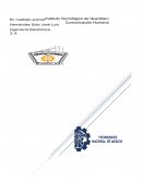 Maltrato y trafico animal