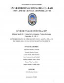 IMPLEMENTACION DE UNA PLATAFORMA WEB EN PRATCOS S.R.L.