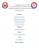 INGENIERÍA EN INFORMÁTICA Y SISTEMAS COMPUTACIONALES EXTENSIÓN-LA MANÁ