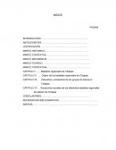 Investigación sobre la danza en el estado de Chiapas