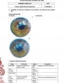 Evaluacion formativa