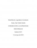 Salud laboral y seguridad en la industria