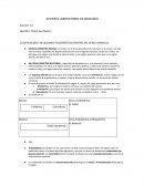 Apuntes de laboratorio de Zoologia