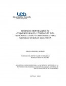 ENERGIAS RENOBABLES NO CONVENCIONALES: UTILIZACIÓN DEL HIDRÓGENO COMO COMBUSTIBLE PARA GENERAR ENERGIA ELECTRICA