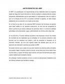 ANTECEDENTES DEL MRP