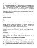 Explique con sus palabras, que entiende por presupuesto