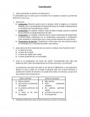 Cuestionario combustible