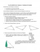 TALLER ELEMENTOS DEL TRIANGULO Y TEOREMA DE PITAGORAS