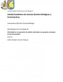 Efectividad en la reparación de cabello maltratado con guayaba y shampoo (a base de guayaba)