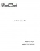 Entrega trabajo “Eneida”- Virgilio