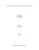 Desarrollo del Cuestionario “Infraestructura tecnológica de la organización”