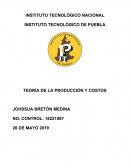 TEORÍA DE LA PRODUCCIÓN Y COSTOS