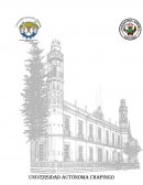 Departamento de Preparatoria Agrícola “ZACUALPAN-IZTAPAN DE LA CONCEPCIÓN”