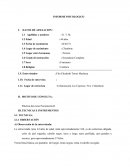 INFORME PSICOLOGICO. Práctica del curso Psicometría II