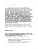 Medidas para el Medio Ambiente