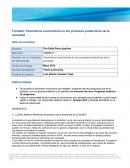 Fenómenos económicos en los procesos productivos de la sociedad