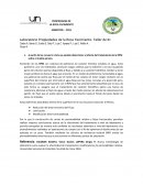 Laboratorio Propiedades de la Roca Yacimiento. Taller de Kr