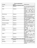 Plan de mantenimiento Motores de combustión interna