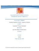 INFORME DE GESTION AMBIENTAL