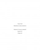 Manufactura de vehículos automotrices