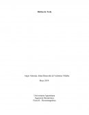 Bobina de Tesla Física II - Electromagnética