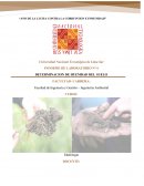 EDAFOLOGIA INF. 6
