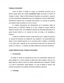 CARÁCTERÍSTICAS DEL TRABAJO EN EQUIPO