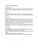 HERMANOS RIVALES (CAR CASH)