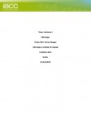 Tarea semana 1 liderazgo trabajo en equipo