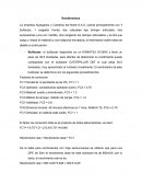 Informe de Maquinaria